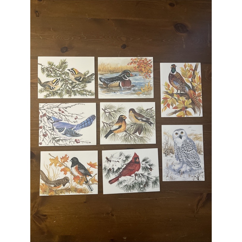 Bird Art Greeting Cards John Cornacchio Vintage 1999 Lot of 8 Made in USA‎